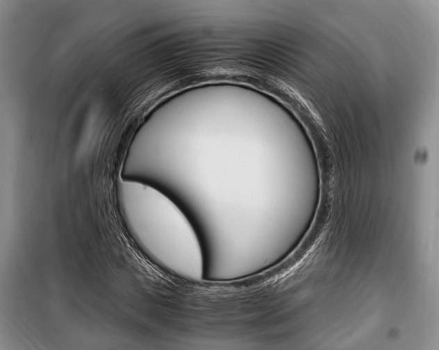 X0000100350825200806060758