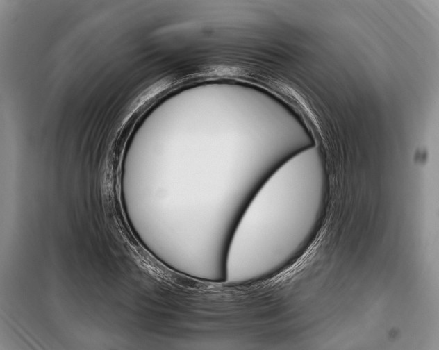 X0000100350827200806060758