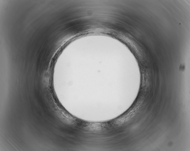 X0000100350828200806060758