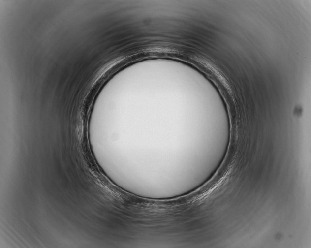 X0000100350829200806060758