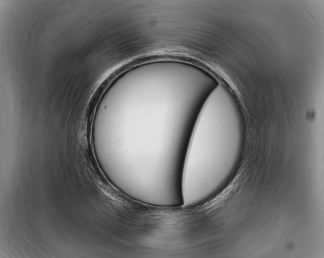 X0000100350830200806060758