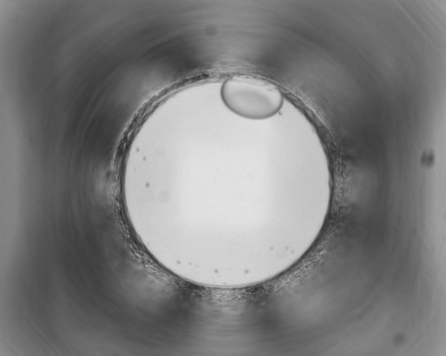 X0000100350832200806060758