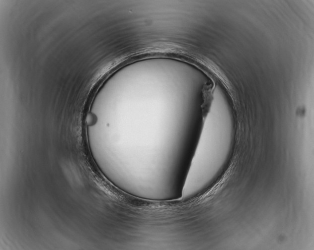 X0000100350834200806060758