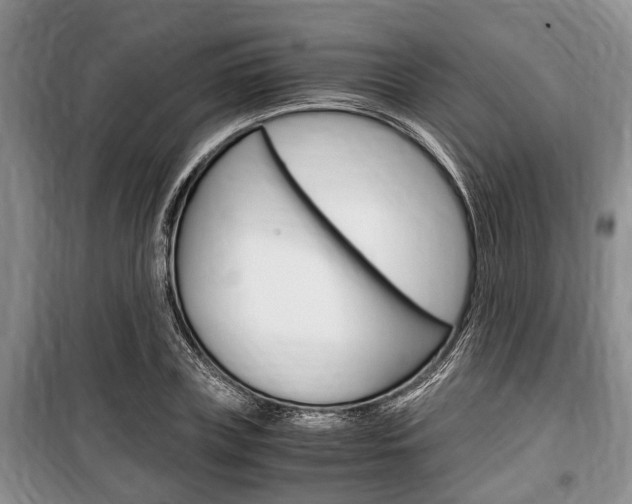 X0000100350835200806060758