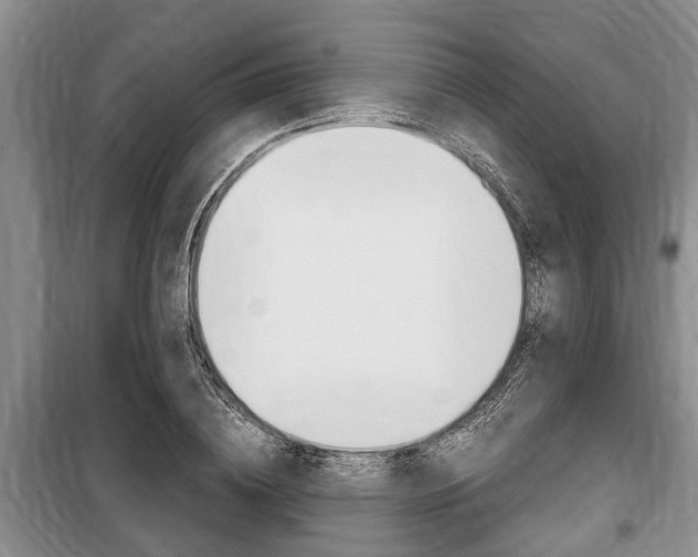 X0000100350836200806060758