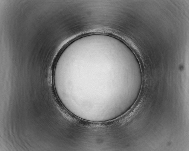 X0000100350838200806060758