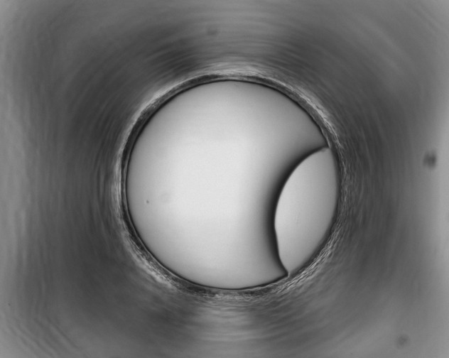 X0000100350840200806060758