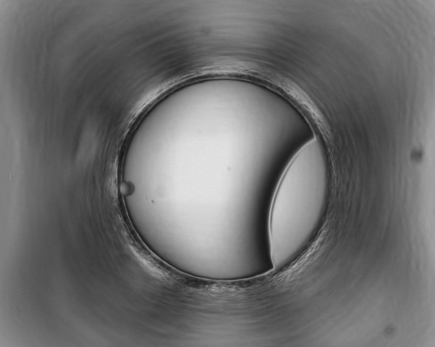 X0000100350842200806060759