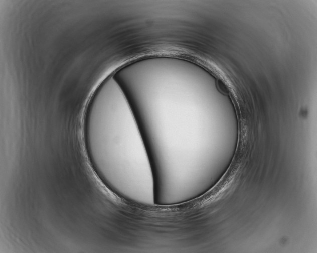 X0000100350843200806060759