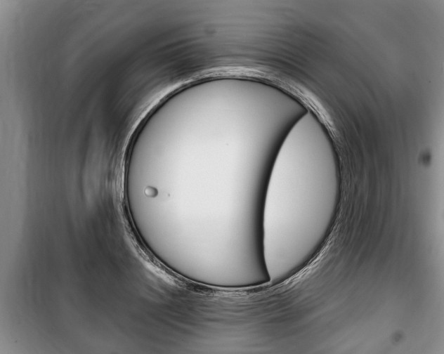 X0000100350844200806060759