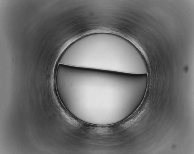 X0000100350845200806060759