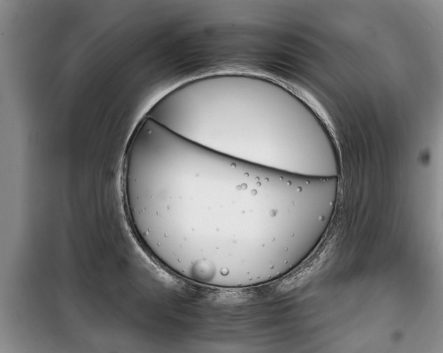X0000100350847200806060759