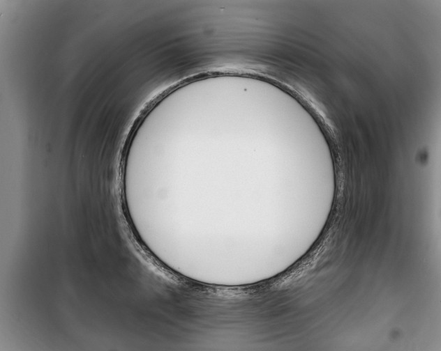 X0000100350848200806060759