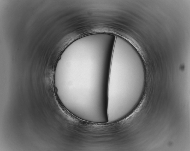 X0000100350849200806060759