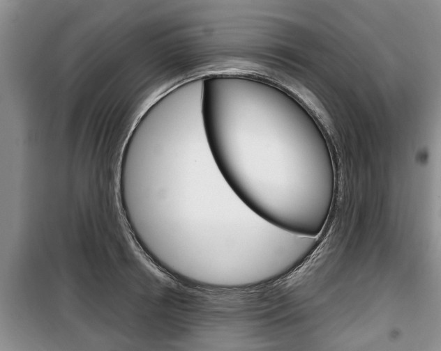 X0000100350850200806060759