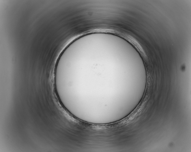 X0000100350852200806060759