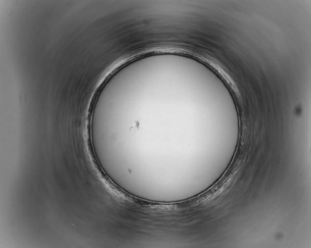X0000100350853200806060759