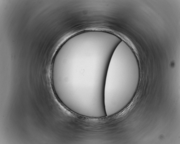 X0000100350855200806060759