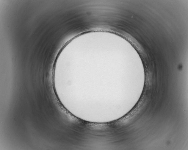 X0000100350856200806060759
