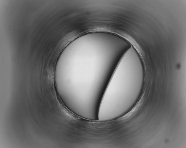 X0000100350857200806060759