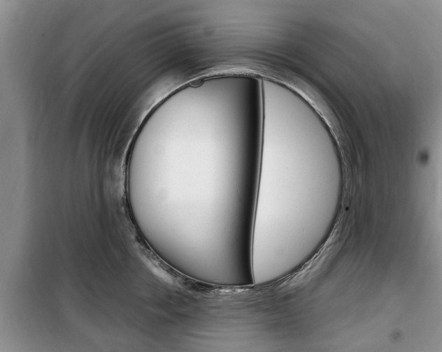 X0000100350858200806060759