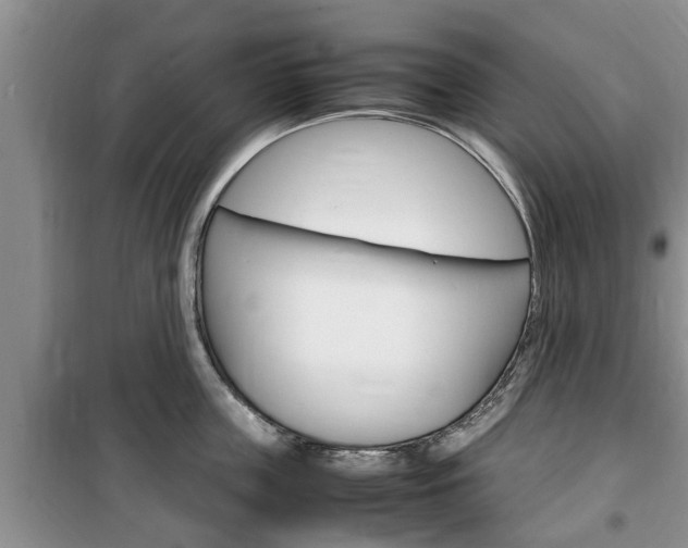 X0000100350859200806060759