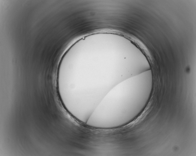 X0000100350860200806060759