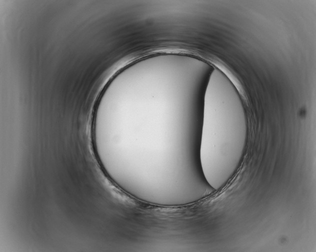 X0000100350861200806060759