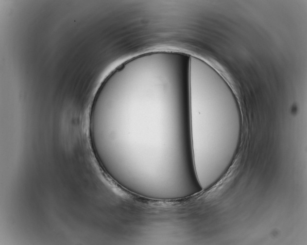 X0000100350862200806060759