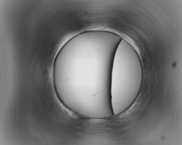 X0000100350863200806060759