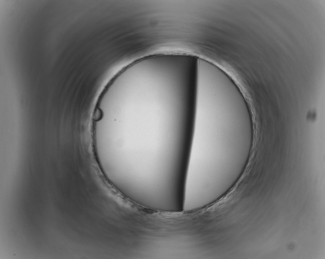 X0000100350864200806060759