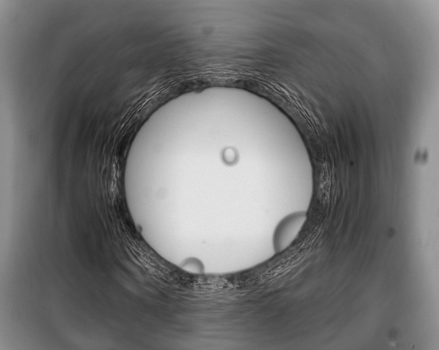 X0000100350866200806060758