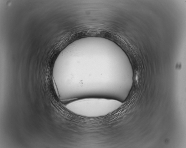 X0000100350867200806060758