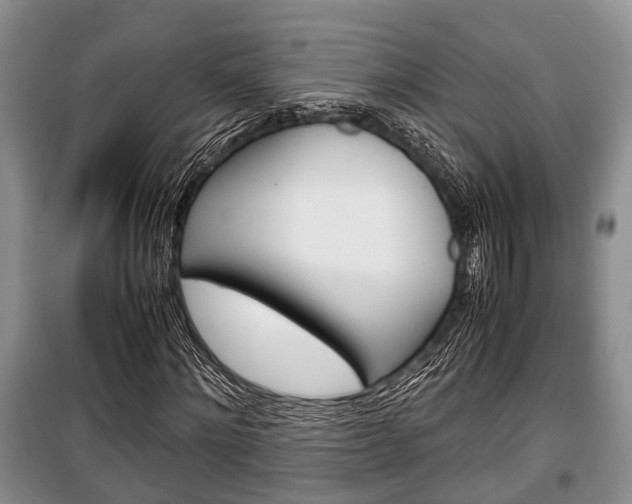 X0000100350868200806060758