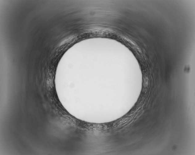 X0000100350869200806060758