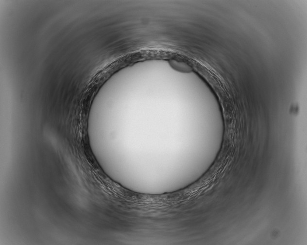 X0000100350870200806060758