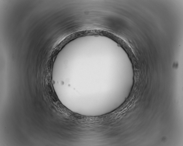 X0000100350871200806060758