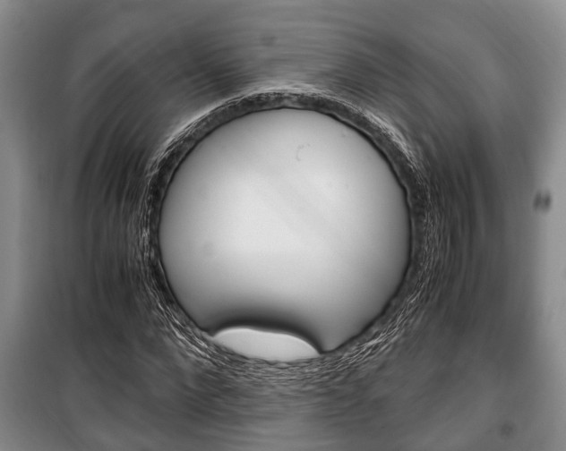 X0000100350872200806060758