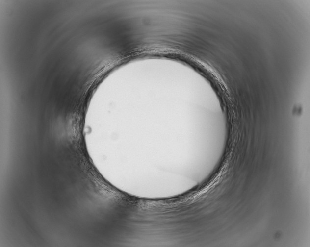 X0000100350873200806060758