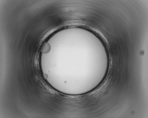 X0000100350874200806060758