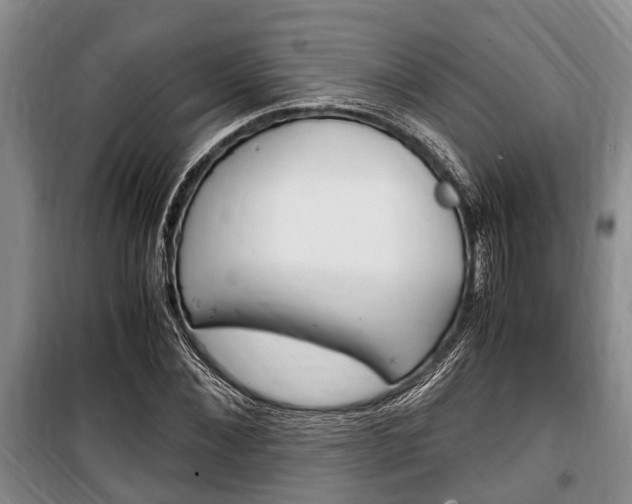 X0000100350876200806060758