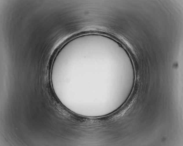 X0000100350877200806060758