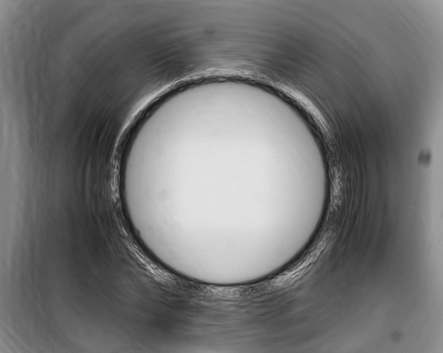 X0000100350878200806060758
