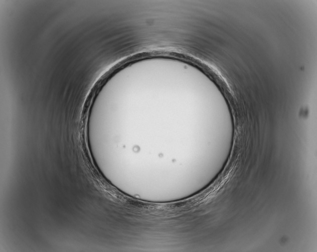 X0000100350879200806060758
