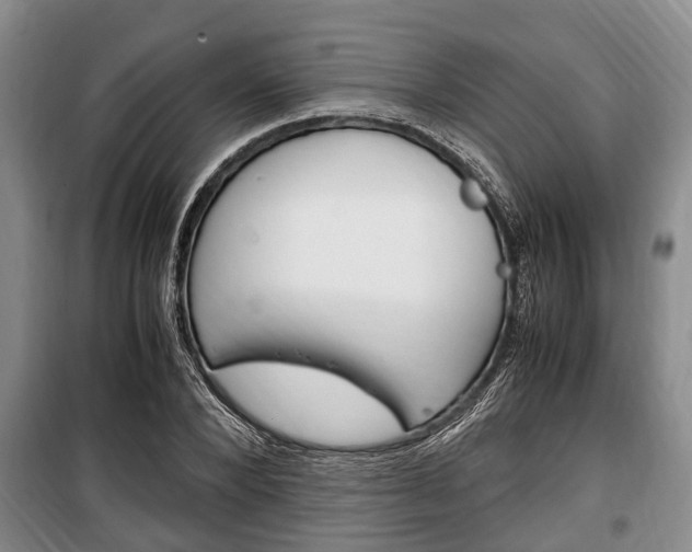 X0000100350880200806060758