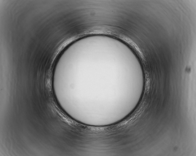 X0000100350882200806060758