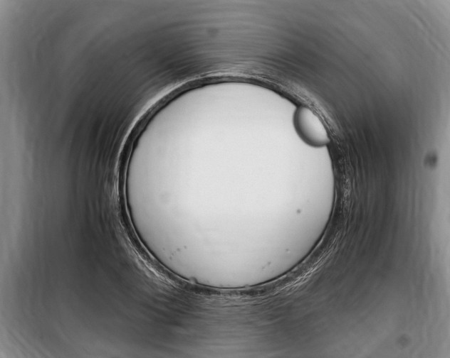 X0000100350884200806060758