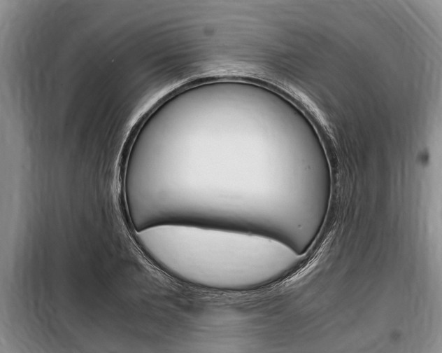 X0000100350885200806060758