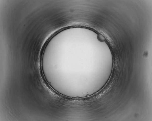 X0000100350888200806060758