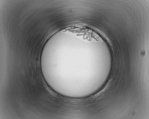 X0000100350889200806060758